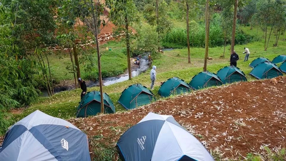 Tents nestled in the green campsite beside a stream